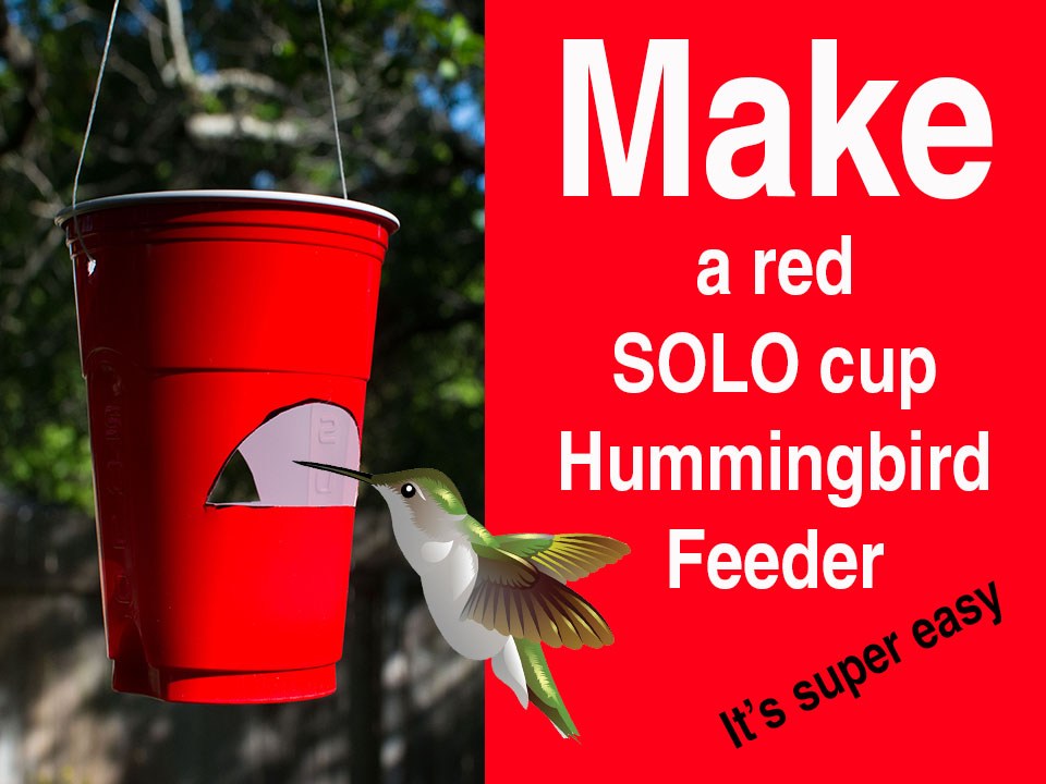feeder hummingbird theselfsufficientliving